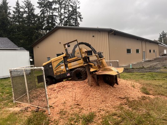 Bob's Property Solutions stump grinding equipment removing a tree stump